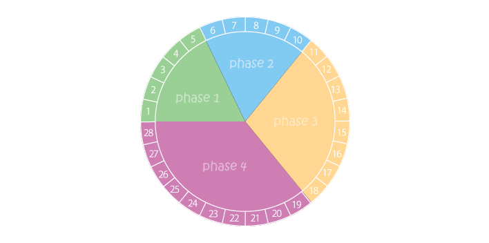 4 phases in the menstrual process