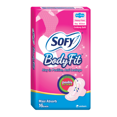 SOFY Body Fit Day
